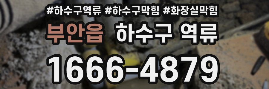 부안읍 하수구 역류