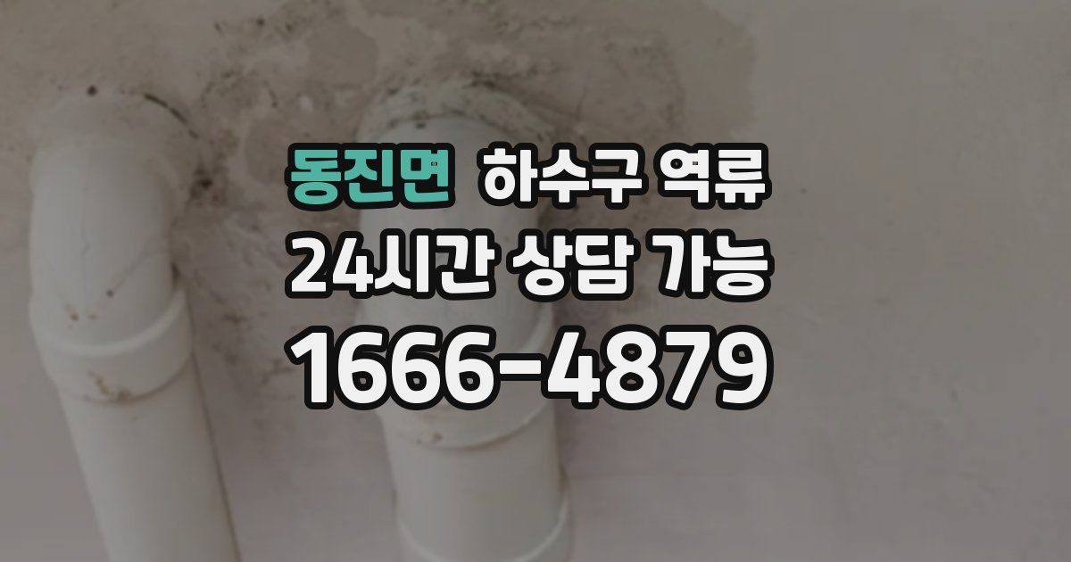 동진면 하수구 역류