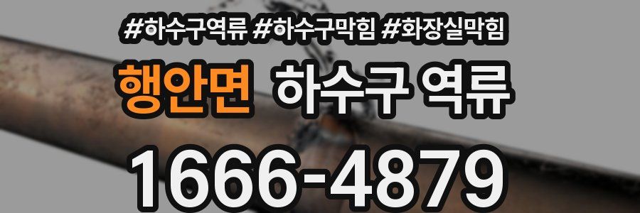 행안면 하수구 역류