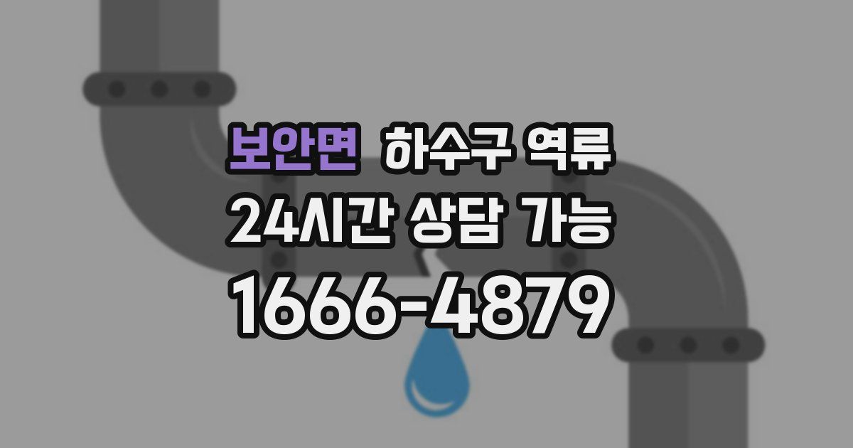 보안면 하수구 역류