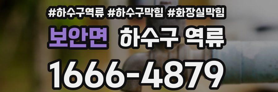 보안면 하수구 역류