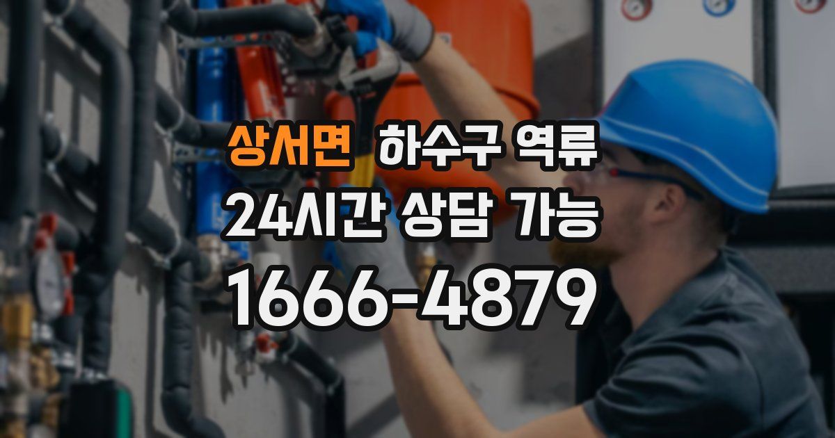 상서면 하수구 역류