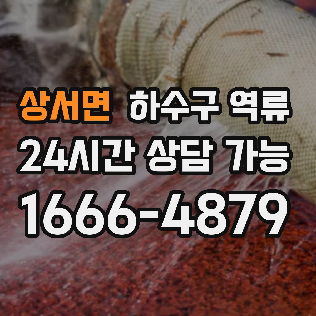 상서면 하수구 역류