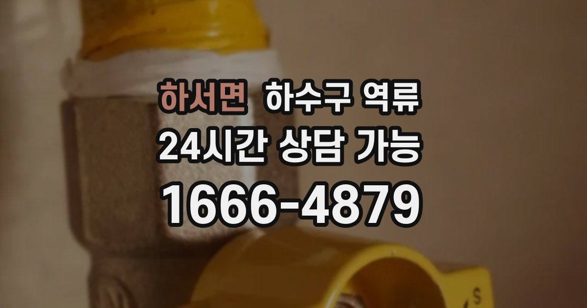 하서면 하수구 역류