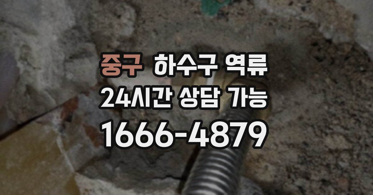 중구 하수구 역류