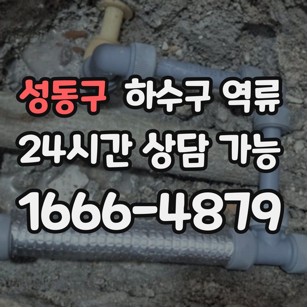 성동구 하수구 역류