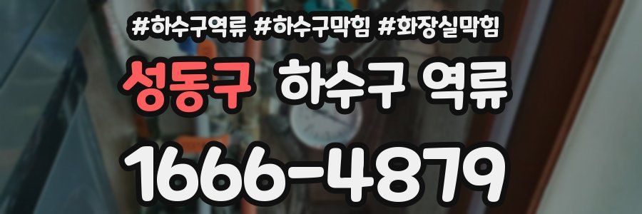 성동구 하수구 역류