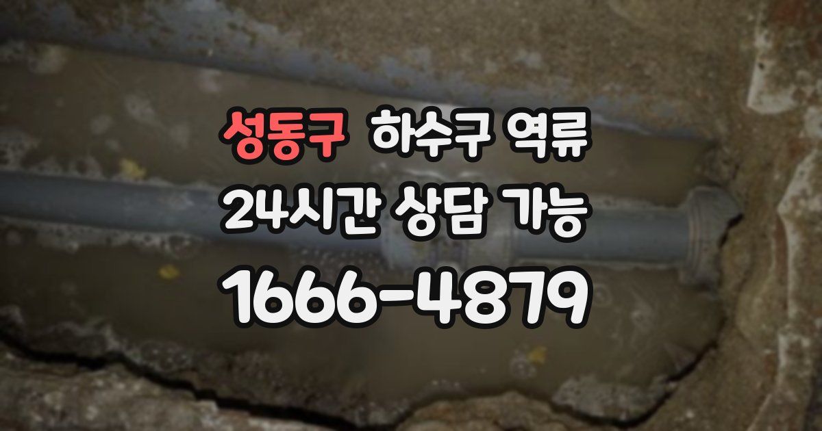 성동구 하수구 역류