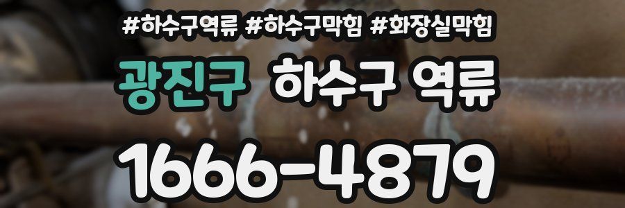 광진구 하수구 역류