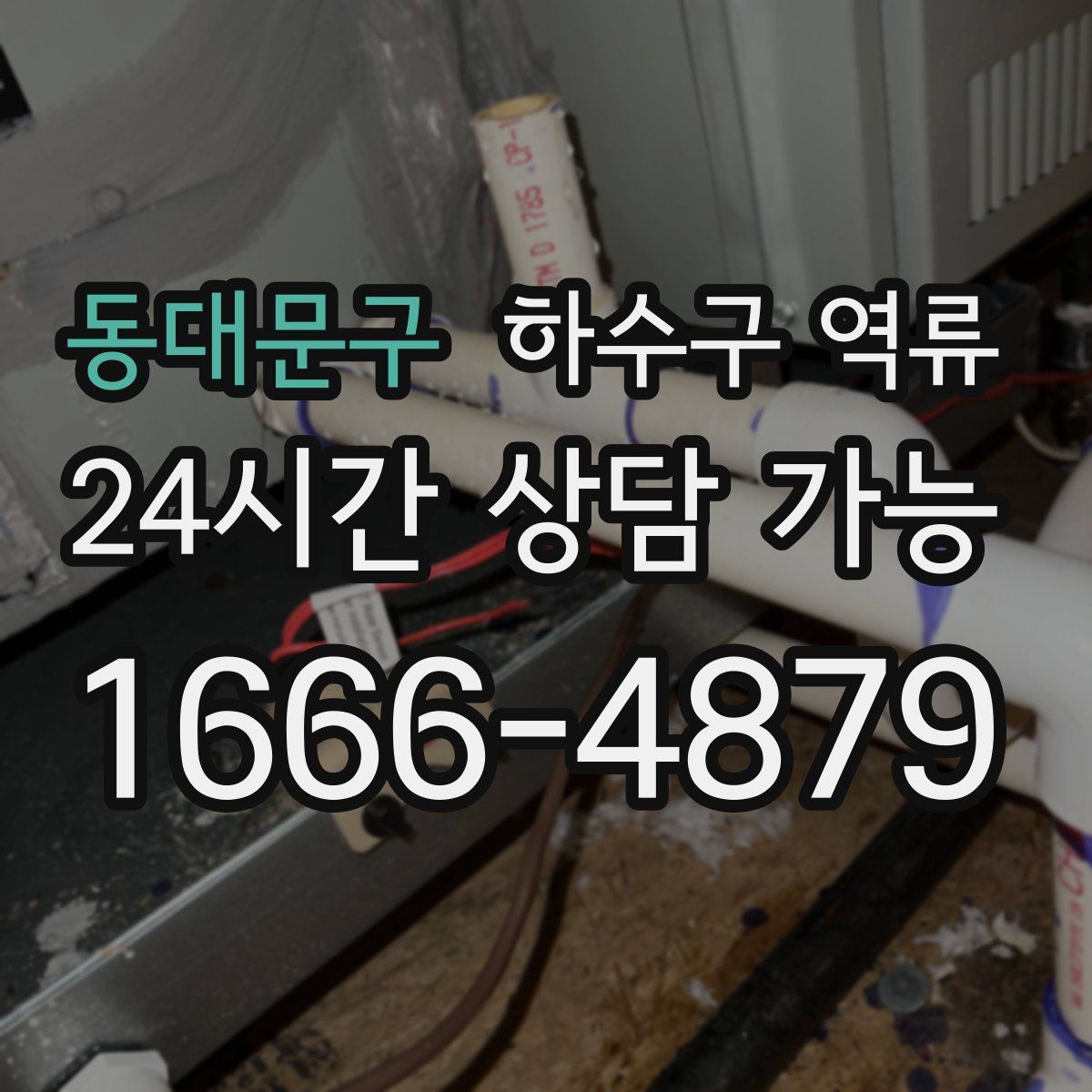 동대문구 하수구 역류