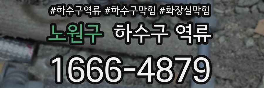 노원구 하수구 역류