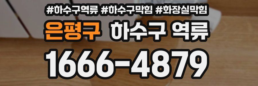 은평구 하수구 역류