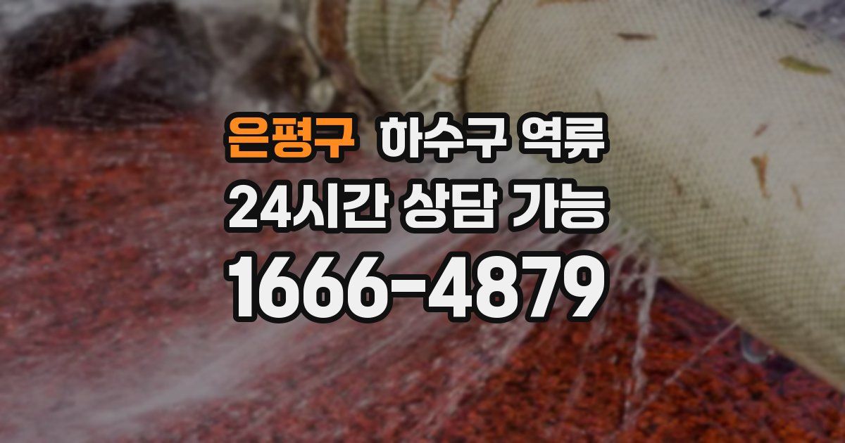 은평구 하수구 역류