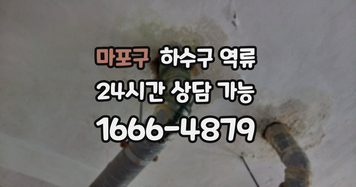 마포구 하수구 역류