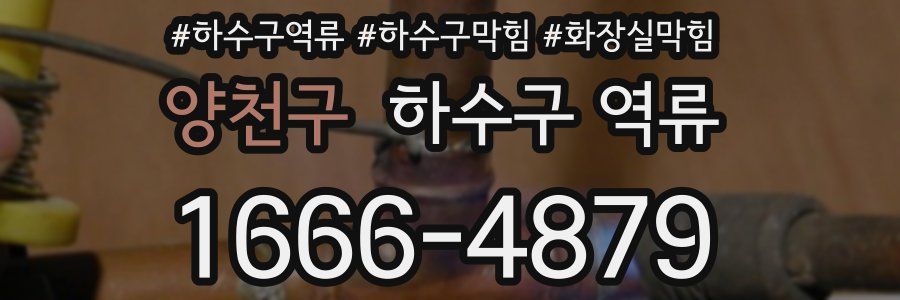 양천구 하수구 역류