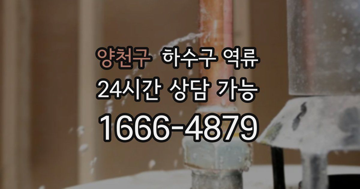 양천구 하수구 역류