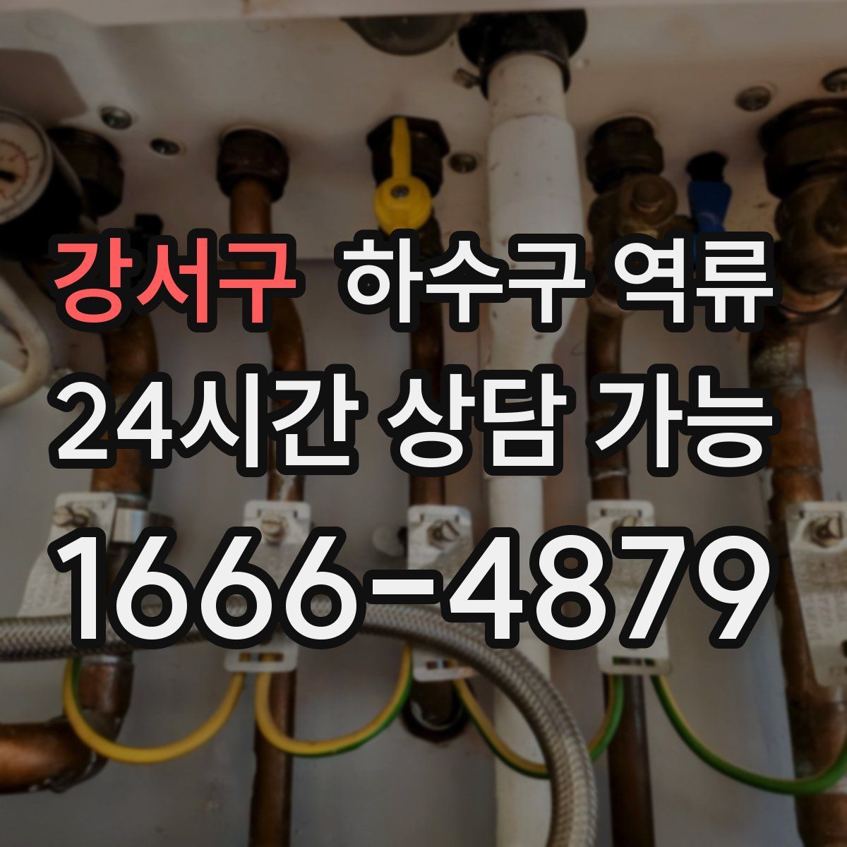 강서구 하수구 역류