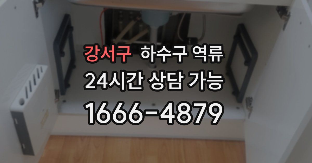 강서구 하수구 역류