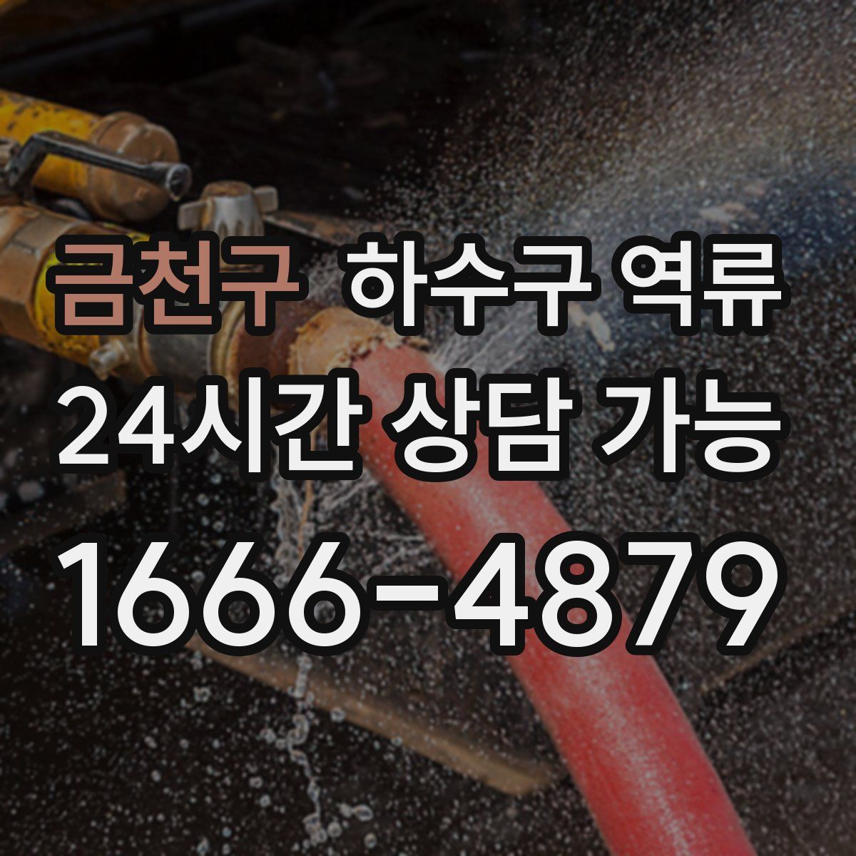 금천구 하수구 역류