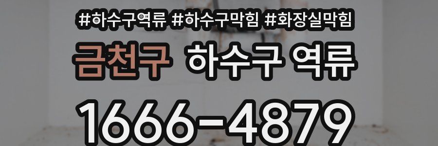 금천구 하수구 역류