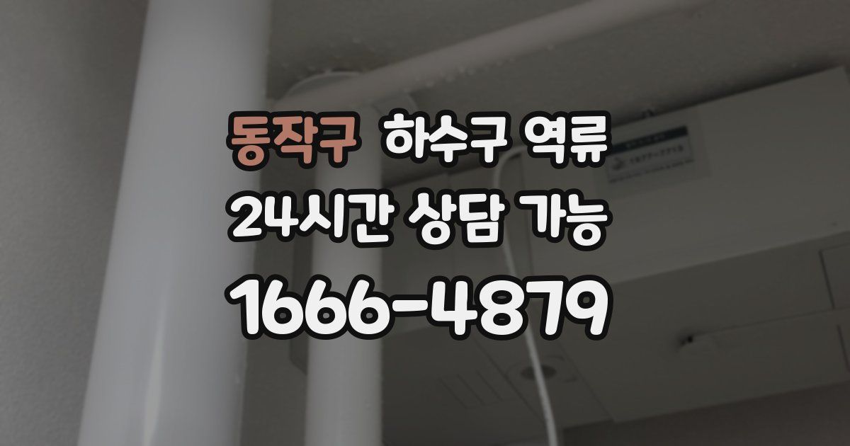 동작구 하수구 역류