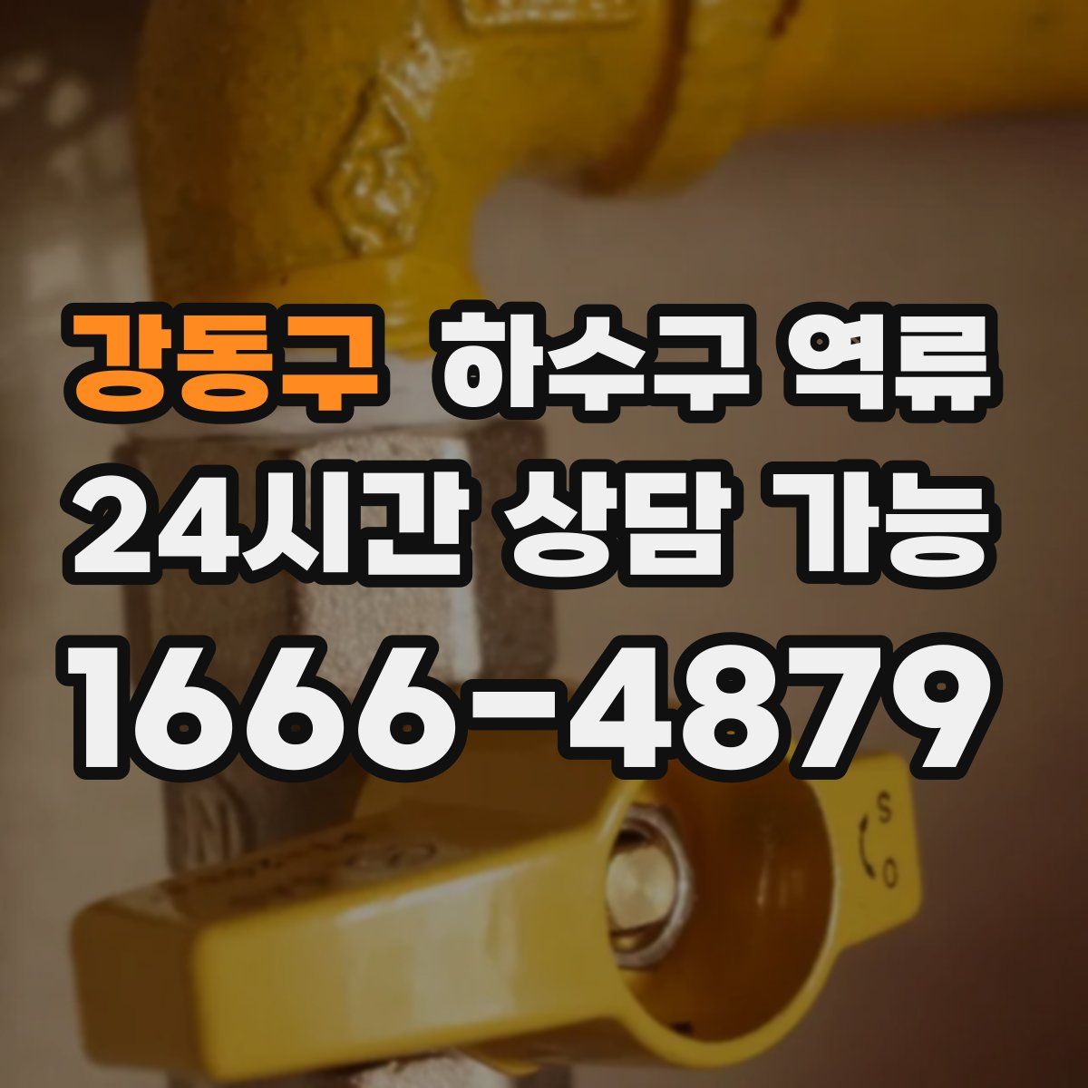 강동구 하수구 역류