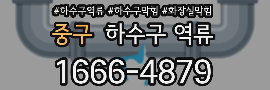 중구 하수구 역류