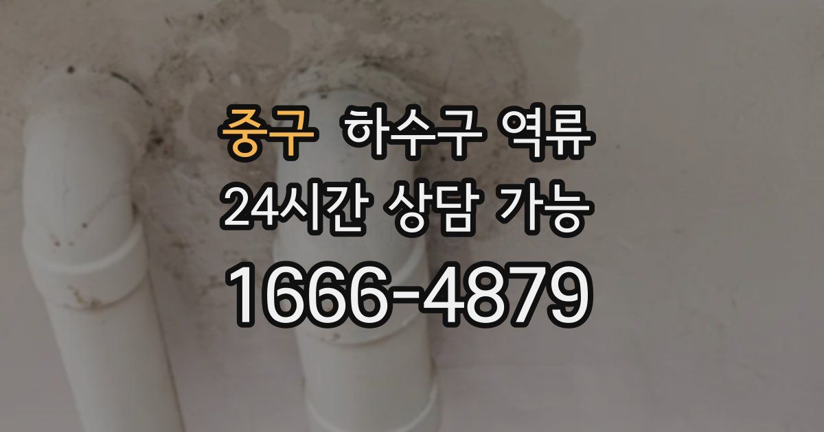 중구 하수구 역류