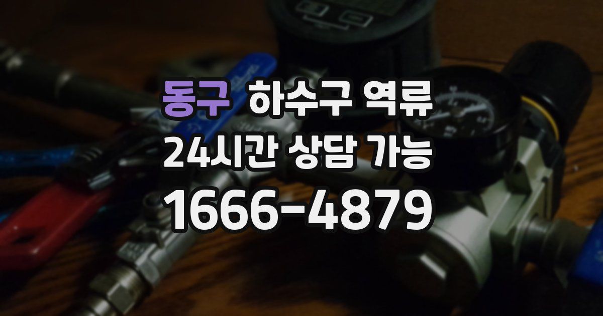 동구 하수구 역류