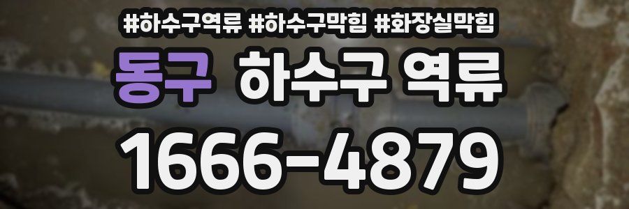 동구 하수구 역류