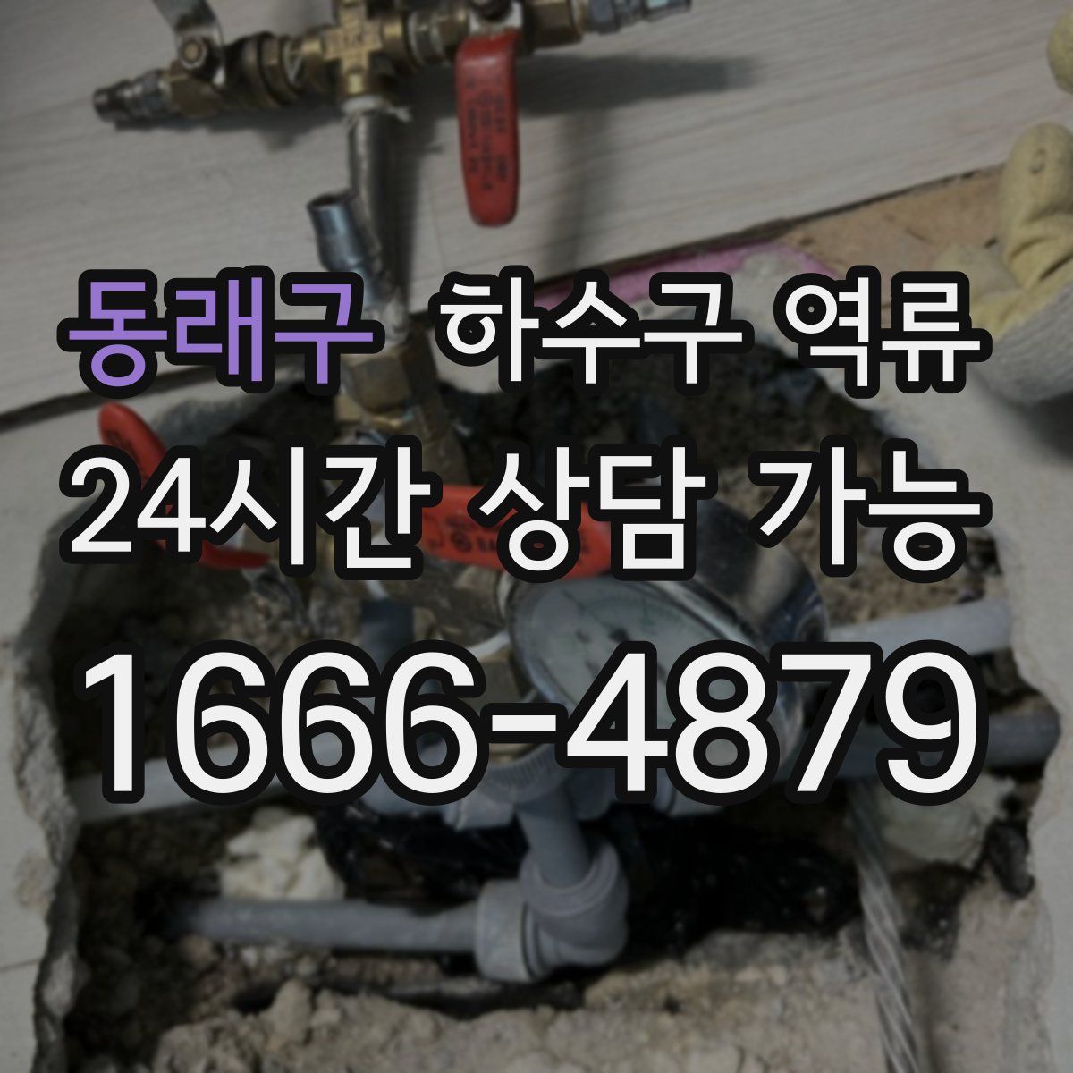 동래구 하수구 역류