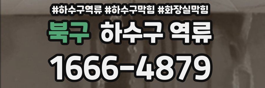 북구 하수구 역류