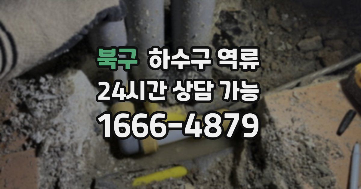 북구 하수구 역류