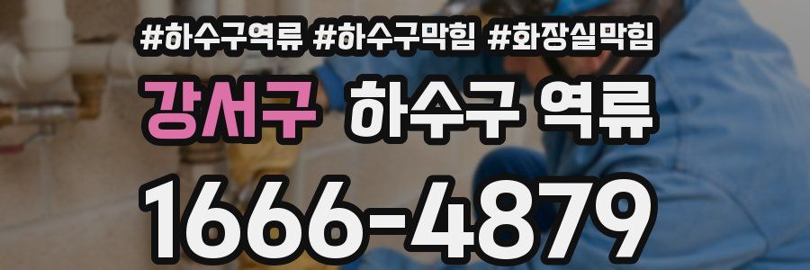 강서구 하수구 역류