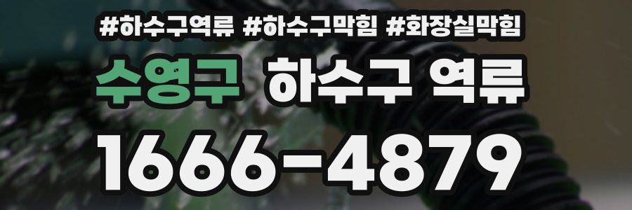 수영구 하수구 역류