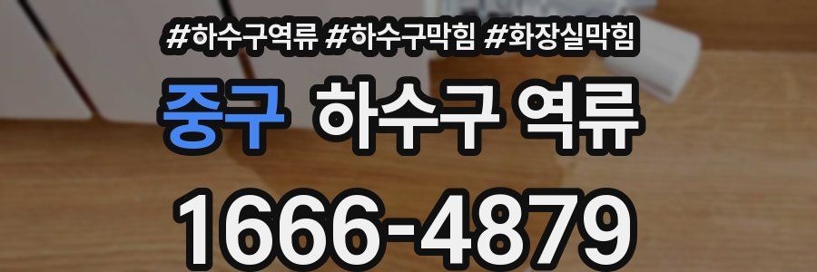 중구 하수구 역류