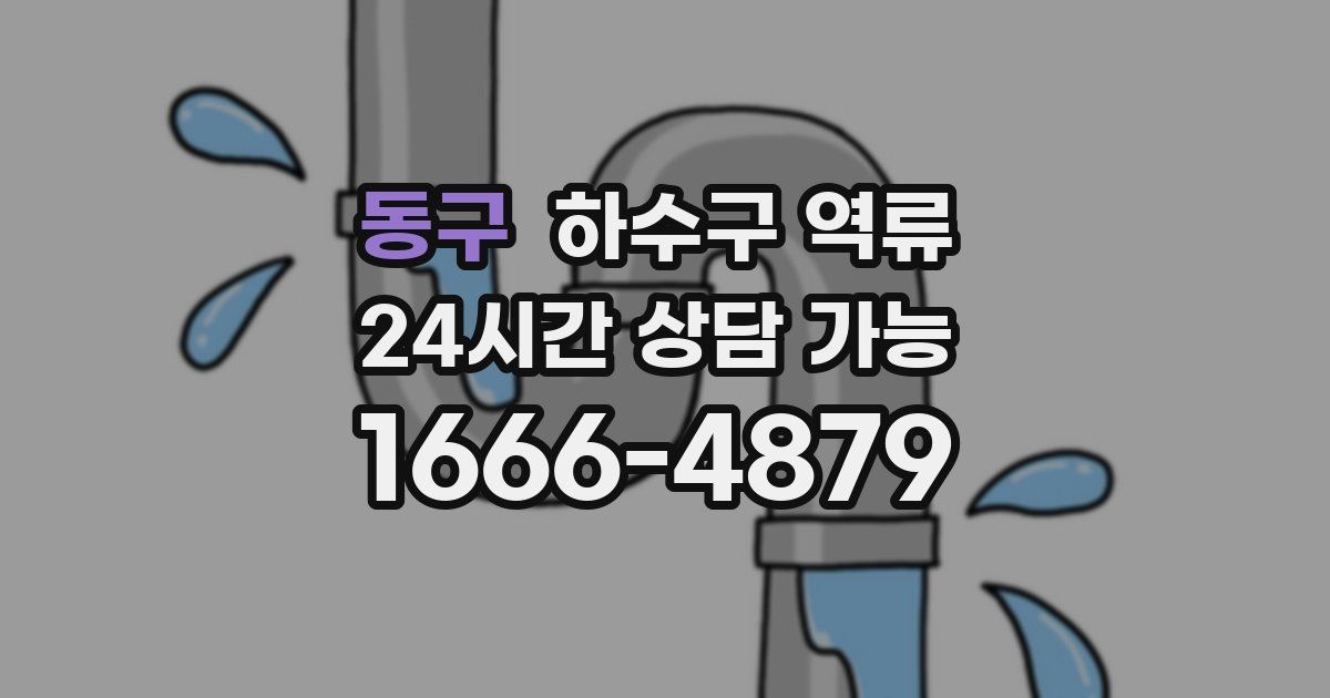 동구 하수구 역류