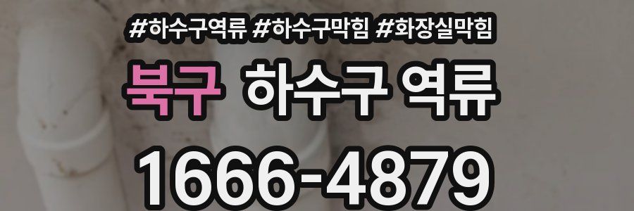 북구 하수구 역류