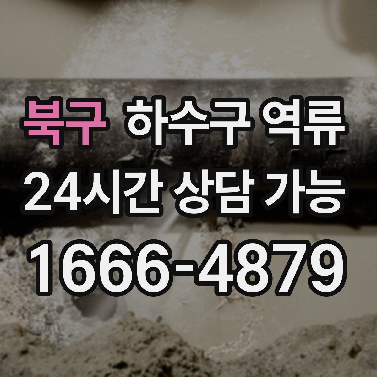 북구 하수구 역류