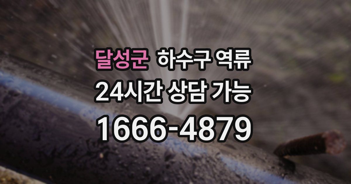 달성군 하수구 역류