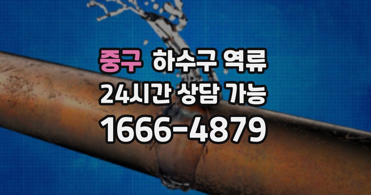 중구 하수구 역류