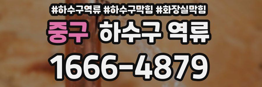 중구 하수구 역류