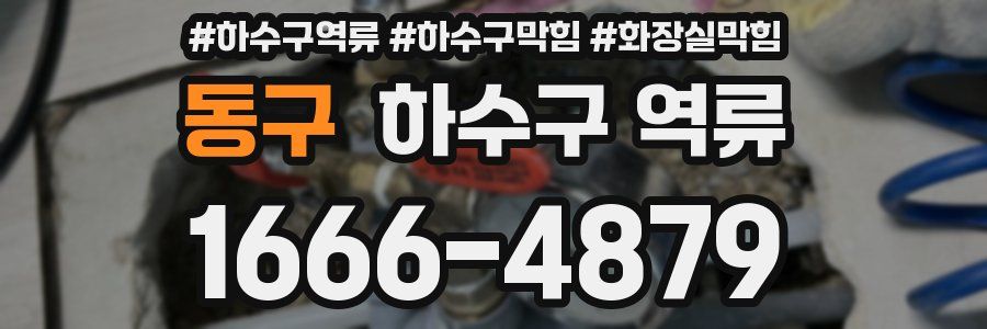 동구 하수구 역류