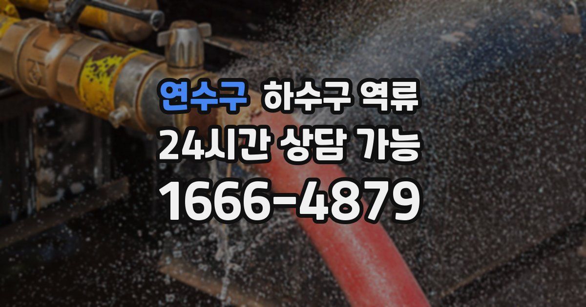 연수구 하수구 역류