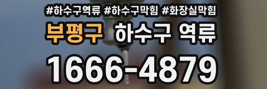 부평구 하수구 역류