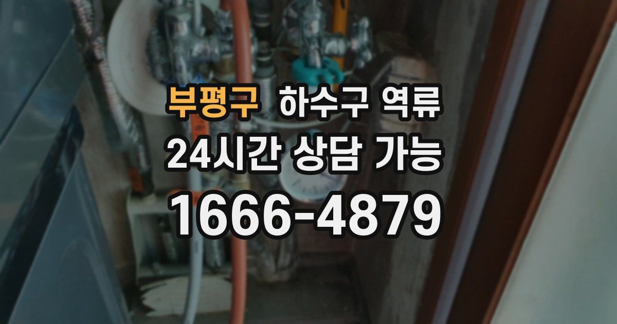 부평구 하수구 역류