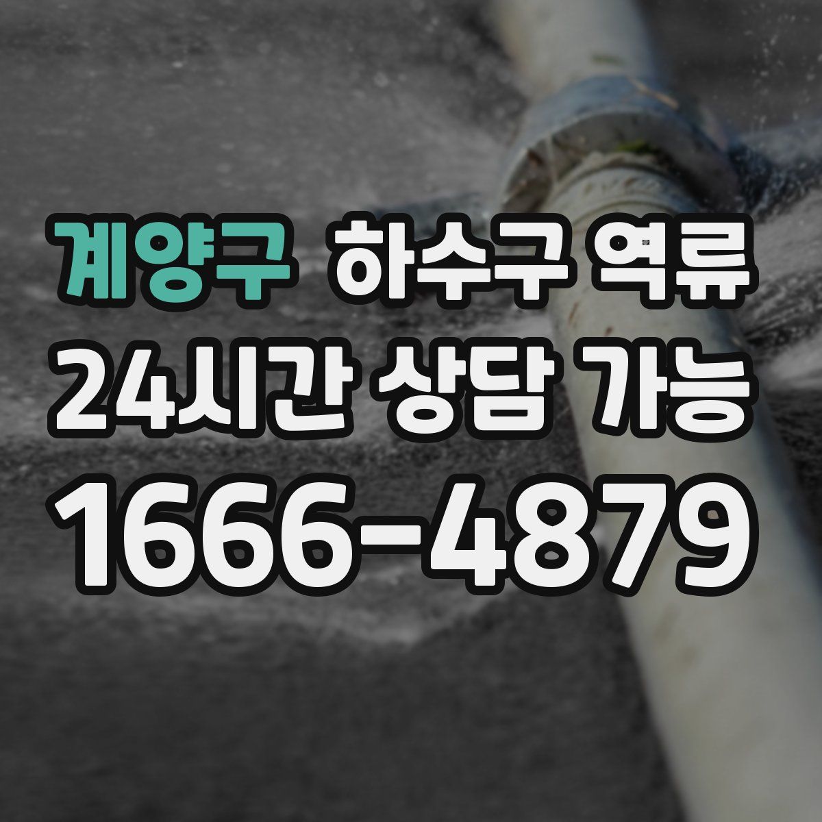 계양구 하수구 역류