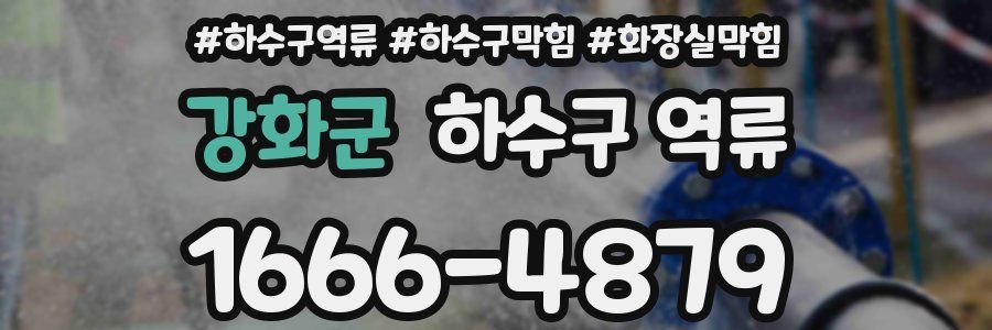 강화군 하수구 역류