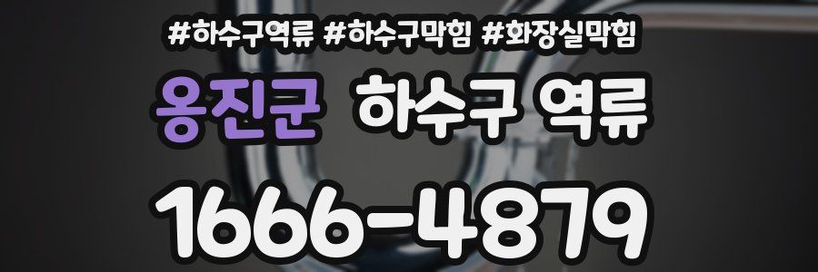 옹진군 하수구 역류