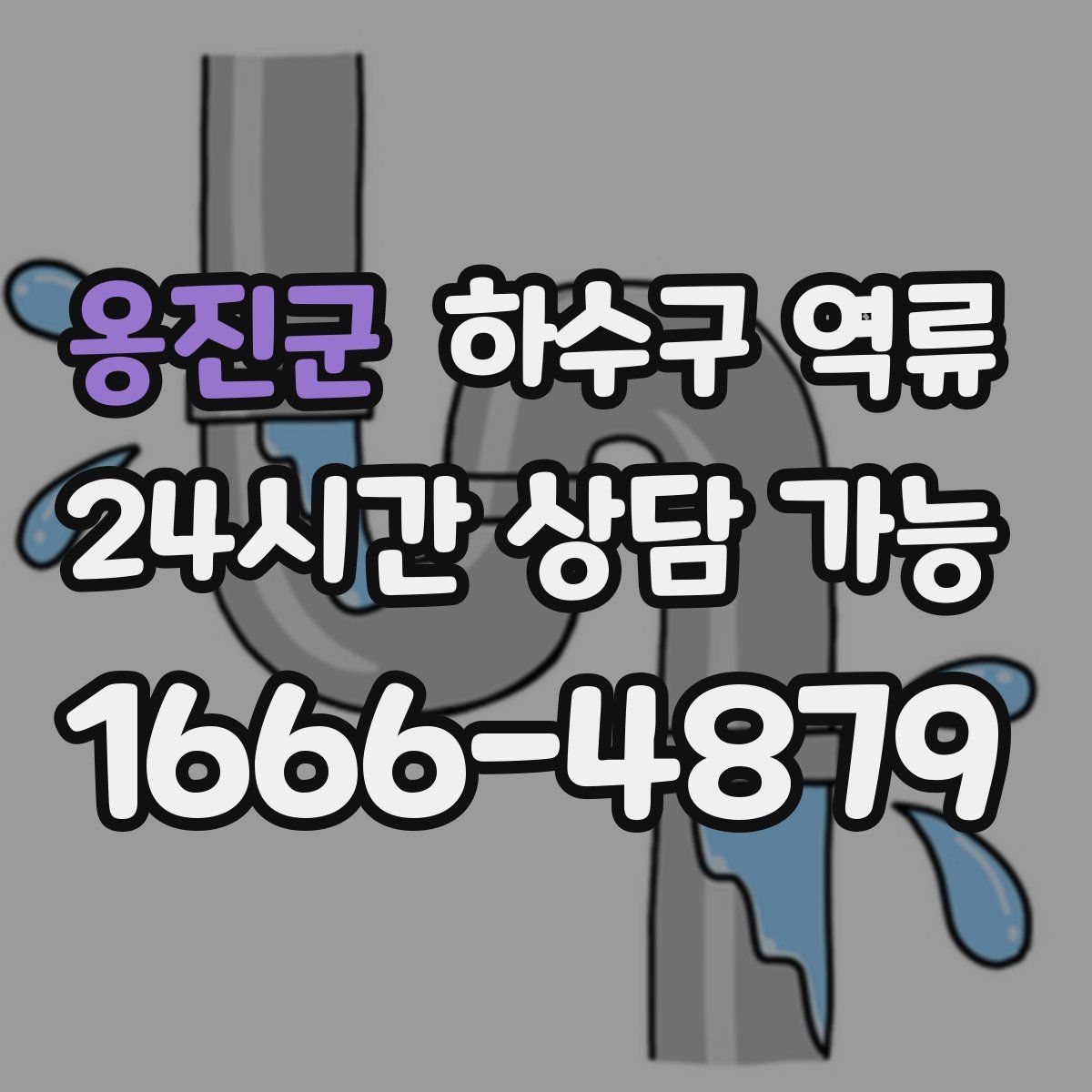 옹진군 하수구 역류